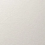 アイボリー 塗り壁調 消臭 防かび   ルノン RF8148