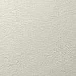 アイボリー 塗り壁調 消臭 防かび   ルノン RF8149