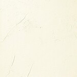 ホワイト 塗り壁調 消臭 防かび   ルノン RF8155