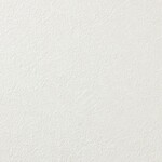 アイボリー 塗り壁調 防かび  表面強化 撥水 消臭   ルノン RF8166