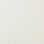 アイボリー 塗り壁調 防かび  表面強化 撥水 消臭   ルノン RF8167