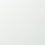 ホワイト 塗り壁調 消臭 防かび   ルノン RF8168