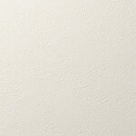 アイボリー 塗り壁調 消臭 防かび   ルノン RF8169