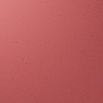 レッド 塗り壁調 汚れ防止 抗菌 表面強化 防かび   ルノン RF8228