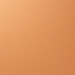 オレンジ 塗り壁調 汚れ防止 抗菌 表面強化 防かび   ルノン RF8232