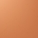 オレンジ 塗り壁調 汚れ防止 抗菌 表面強化 防かび   ルノン RF8233