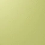 グリーン 塗り壁調 汚れ防止 抗菌 表面強化 防かび   ルノン RF8240