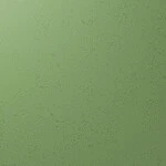 グリーン 塗り壁調 汚れ防止 抗菌 表面強化 防かび   ルノン RF8241
