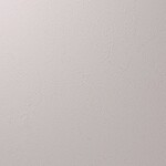 グレー 塗り壁調 汚れ防止 抗菌 表面強化 防かび   ルノン RF8256