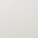 アイボリー 塗り壁調 汚れ防止 抗菌 表面強化 防かび   ルノン RF8285