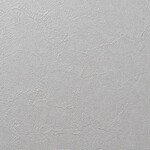 グレー 塗り壁調 汚れ防止 抗菌 表面強化 防かび   ルノン RF8287