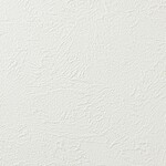 シャドーホワイト 塗り壁調 汚れ防止 抗菌 表面強化 防かび   ルノン RF8290