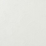 ライトアイボリー 塗り壁調 汚れ防止 抗菌 防かび   ルノン RF8307