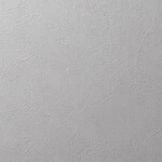 グレー 塗り壁調 抗アレルギー 防カビ   ルノン RF8345