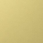 イエロー 塗り壁調 抗アレルギー 防カビ   ルノン RF8346