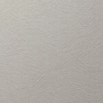 ライトグレー 塗り壁調 抗アレルギー 防カビ   ルノン RF8359