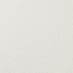アイボリー 塗り壁調 防かび 表面強化 消臭 透湿性   ルノン RF8368