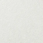 ライトアイボリー 塗り壁調 防かび 表面強化 消臭 透湿性   ルノン RF8369