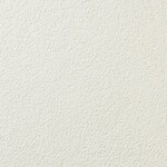 アイボリー 塗り壁調 防かび 表面強化 消臭 透湿性   ルノン RF8370