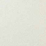アイボリー 塗り壁調 防かび 表面強化 消臭 透湿性   ルノン RF8370