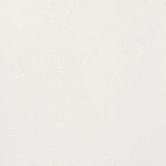 アイボリー 塗り壁調 吸放湿性 透湿性 防かび   ルノン RF8375