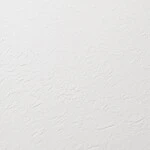 ホワイト 塗り壁調 防かび 抗菌 撥水   ルノン RH-9001
