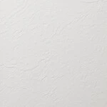 シャドーホワイト 塗り壁調 防かび 抗菌 撥水   ルノン RH-9002