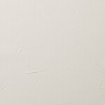 ベージュ 塗り壁調 防かび  撥水 消臭   ルノン RH-9008