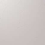 ライトグレー 塗り壁調 防かび  撥水 消臭   ルノン RH-9009