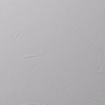 ライトグレー 塗り壁調 防かび  撥水 消臭   ルノン RH-9011
