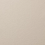 ライトブラウン 塗り壁調 防かび  撥水 消臭   ルノン RH-9016