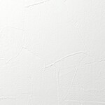 ホワイト 塗り壁調 消臭 抗菌 防かび   ルノン RH-9019