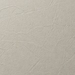 ライトグレー 塗り壁調 消臭 抗菌 防かび   ルノン RH-9020