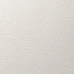 ベージュ 塗り壁調 消臭 防かび   ルノン RH-9028
