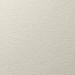 ライトグレー 塗り壁調 消臭 防かび   ルノン RH-9029