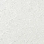 ホワイト 塗り壁調 消臭 防かび   ルノン RH-9030