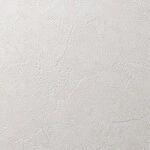 ベージュ 塗り壁調 消臭 防かび   ルノン RH-9033
