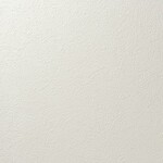 シャドーホワイト 塗り壁調 消臭 抗菌 防かび   ルノン RH-9038