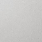 ライトグレー 塗り壁調 消臭 抗菌 防かび   ルノン RH-9039