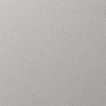 ライトグレー 塗り壁調 消臭 抗菌 防かび   ルノン RH-9045
