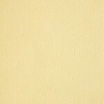 イエロー 塗り壁調 消臭 抗菌 防かび   ルノン RH-9047