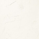 ホワイト 塗り壁調 消臭 防かび   ルノン RH-9054