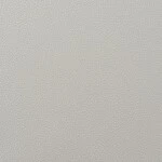 ライトグレー 塗り壁調 防かび  撥水   ルノン RH-9259