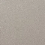 ライトブラウン 塗り壁調 防かび  撥水   ルノン RH-9260
