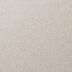 ベージュ 塗り壁調 消臭 防かび   ルノン RH-9331