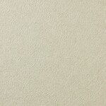 ライトグレー 塗り壁調 消臭 防かび   ルノン RH-9339