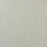 ライトグレー 塗り壁調 消臭 防かび   ルノン RH-9340