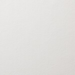 ホワイト 塗り壁調 防かび 抗菌   ルノン RH-9359