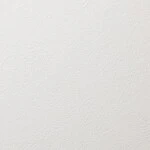 ホワイト 塗り壁調 防かび 抗菌   ルノン RH-9359