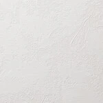 ホワイト 塗り壁調 消臭 抗菌 防かび   ルノン RH-9360